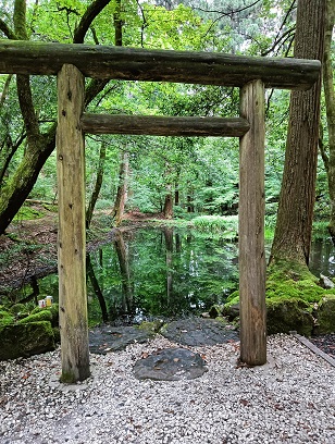 勝山市の平泉寺の御手洗いの池の鳥居