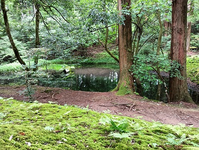 勝山市の平泉寺の御手洗の池