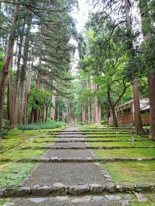 勝山市の平泉寺の本社へ続く道