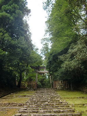 勝山市の平泉寺の鳥居