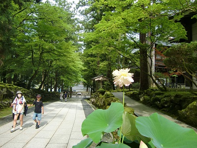 永平寺入口手前