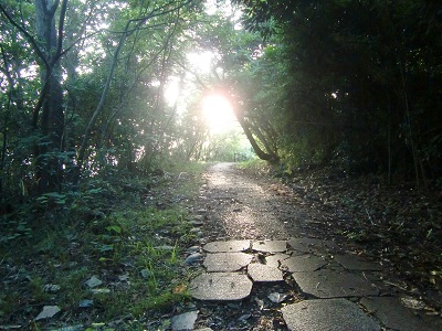 荒磯遊歩道