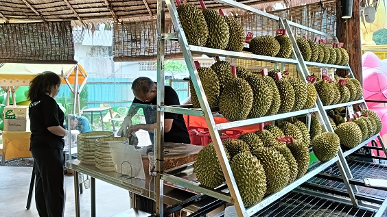 Durian-BB-Parkの丸ごとドリアン展示