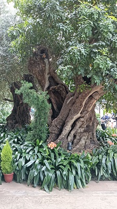 GardensByTheBay_⑭