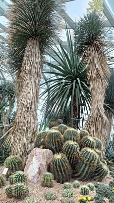 GardensByTheBay_⑯