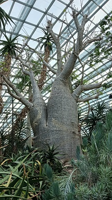 GardensByTheBay_⑰