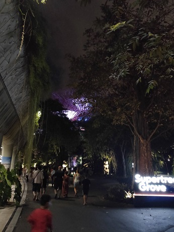GardensByTheBay_㉖