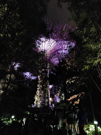 GardensByTheBay_㉗
