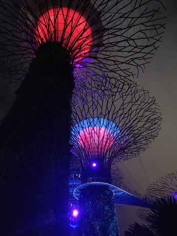 GardensByTheBay_㉘