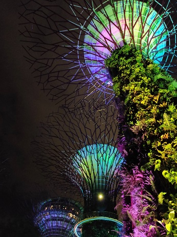 GardensByTheBay_㉙