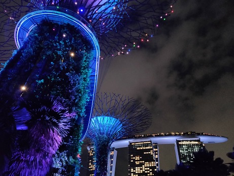 GardensByTheBay_㉚