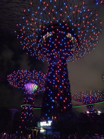 GardensByTheBay_㉛