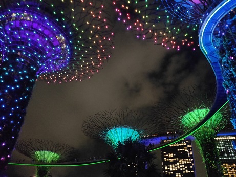 GardensByTheBay_㉜