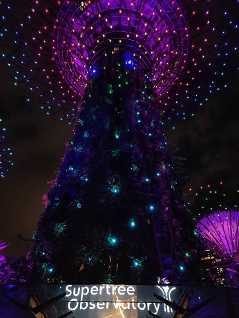 GardensByTheBay_㉝