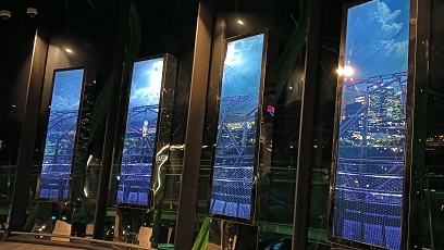 GardensByTheBay_㊲
