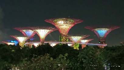 GardensByTheBay_㊳