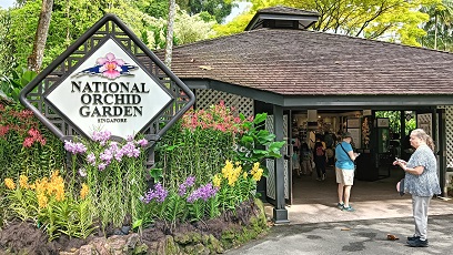 NationalOrchidGarden_⑤