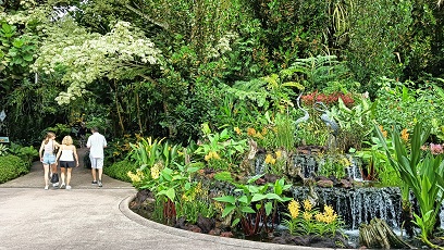 NationalOrchidGarden_⑥