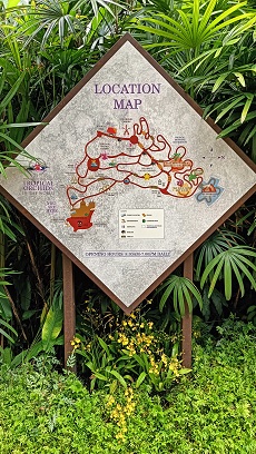 NationalOrchidGarden_⑦