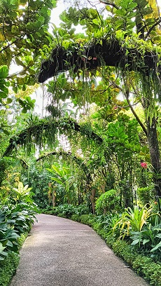 NationalOrchidGarden_⑧
