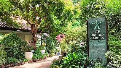NationalOrchidGarden_⑪