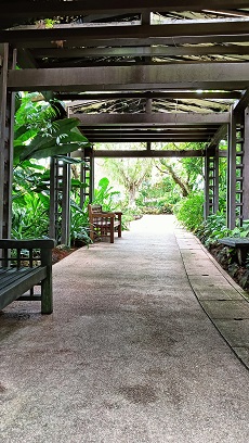 NationalOrchidGarden_⑬