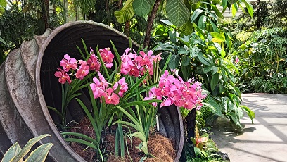 NationalOrchidGarden_⑯