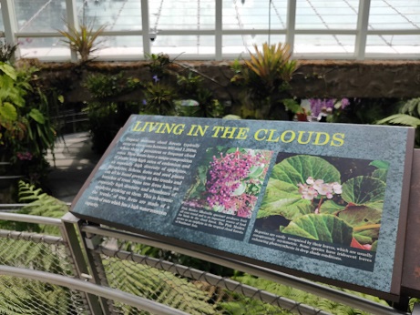 NationalOrchidGarden_⑲