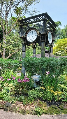 NationalOrchidGarden_㉑