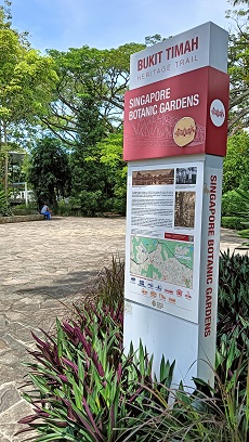 NationalOrchidGarden_㉓
