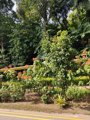 Sentosa-Island_⑯